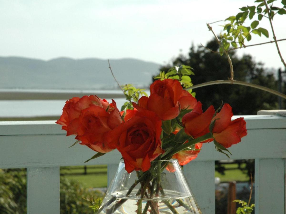 Lagoona Inn Knysna Eksteriør bilde
